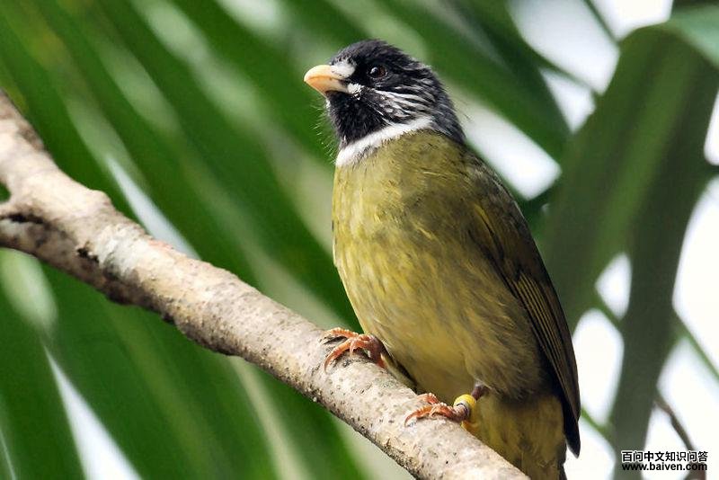 ��ȸ����