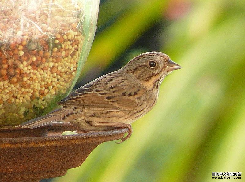 ���ϴ��c��ͼƬ