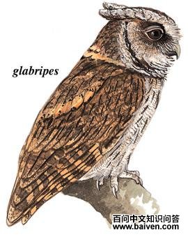 ����^����̬����ͼ