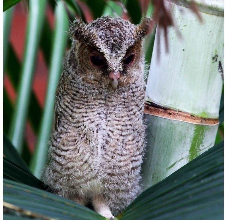 ����^������