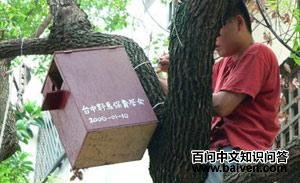 ����^���˹�����