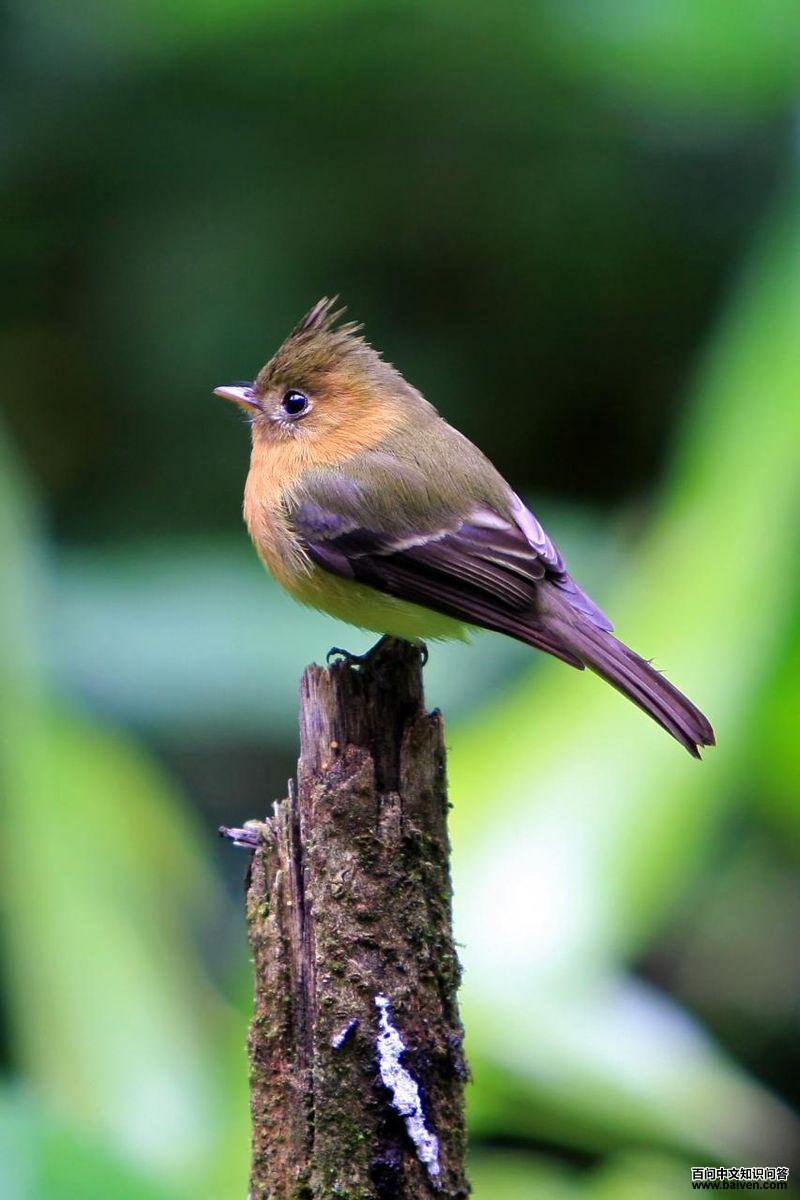 ����l��ͼƬ