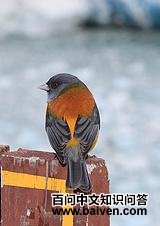 ������ȸ�c