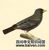 ̿����ȸ�c