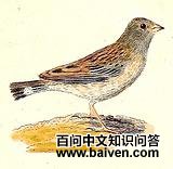 ��β��ȸ�c