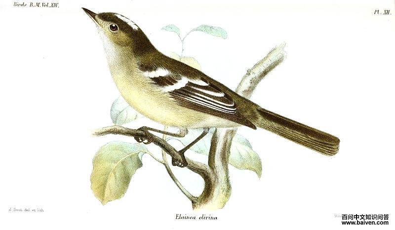 ������l��ͼƬ