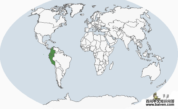 ����έ����