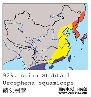 ��ͷ��ݺ�ķֲ�ͼ