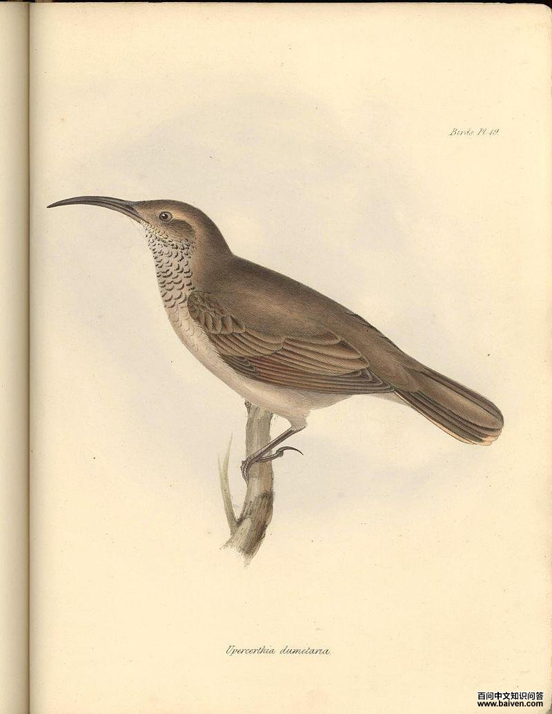 �ۺ�����ȸ��ͼƬ