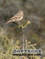 �ۺ�����ȸ