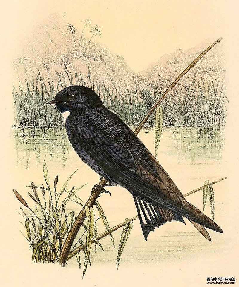 �׺������ͼƬ