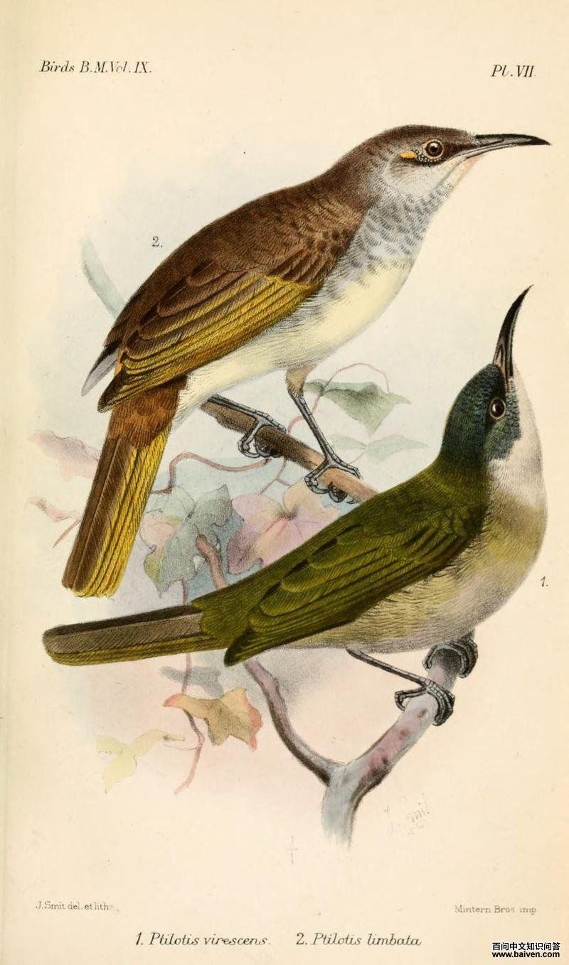 �۶����������ͼƬ