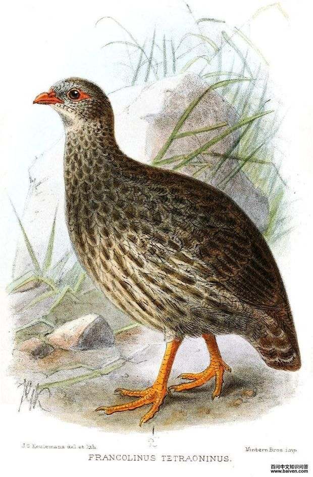 �۰�����ͼƬ