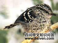 �۰������ͼƬ