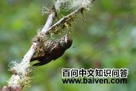 �۰�����ȸ