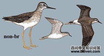 ���֣���̬����ͼ