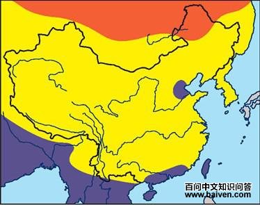 ���֣������ֲ�ͼ