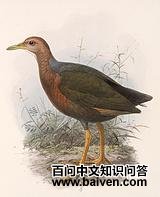 �ؾ�������