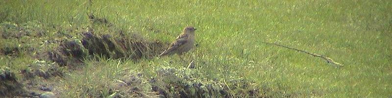 ����ȸ��ͼƬ