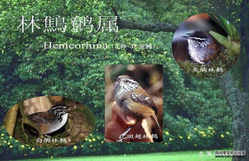 ����������ͼƬ