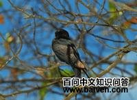 ����������ͼƬ