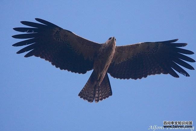 �ֵ��ǳ���