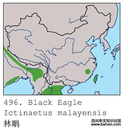 �ֵ񣺵����ֲ�ͼ