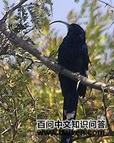 �����ʤ��