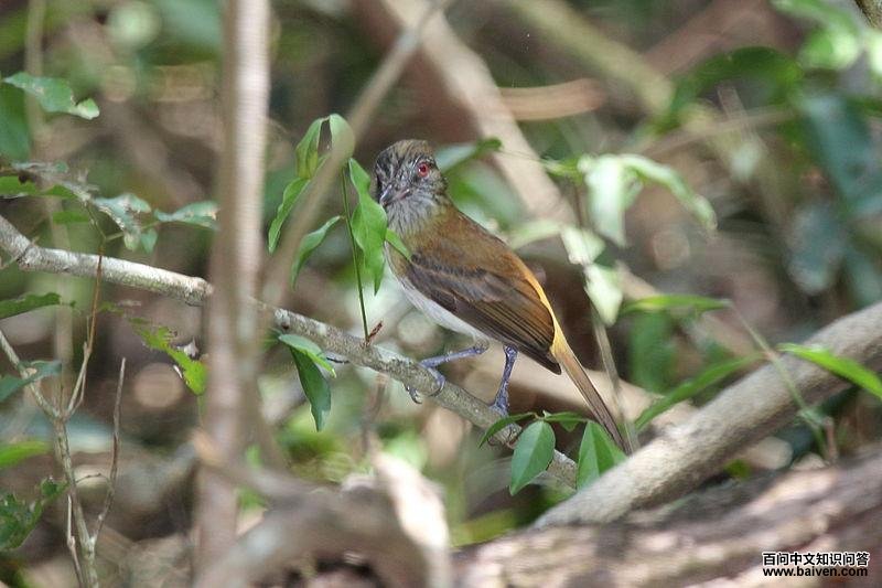 �������ٰ��l��ͼƬ