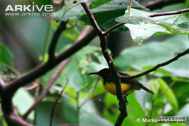 ����̫�����ͼƬ