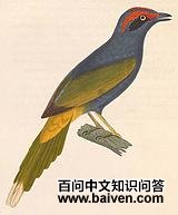 ��ü�������