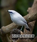 ���ڰ˸���