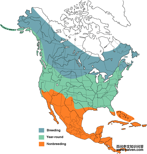 �׸��㹷�������ֲ�ͼ