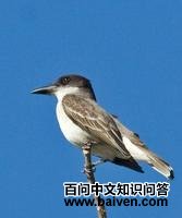 �������l