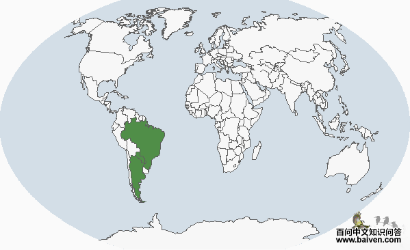 �ٻƾ�����