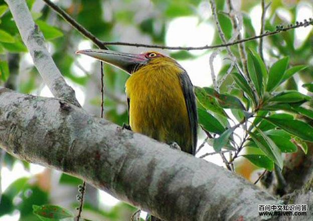 �ٻƾ�����