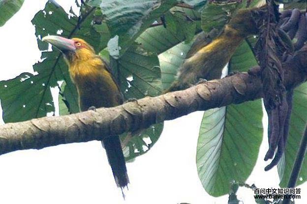 �ٻƾ�����