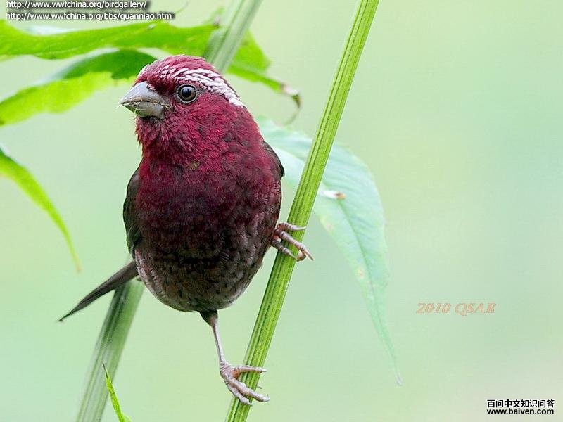 �ƺ���ȸ������