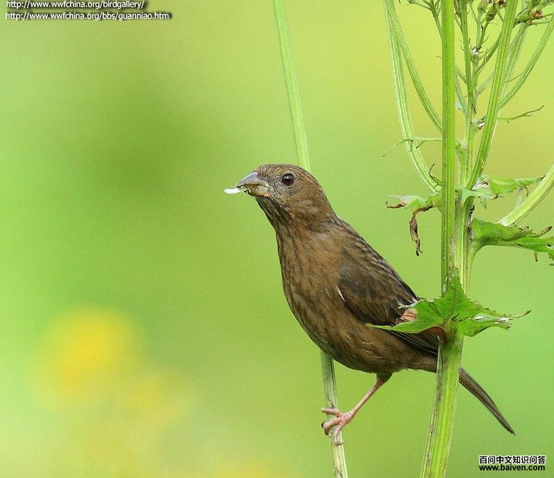 �ƺ���ȸ������