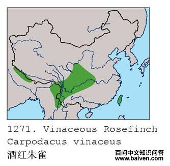 �ƺ���ȸ�������ֲ�ͼ