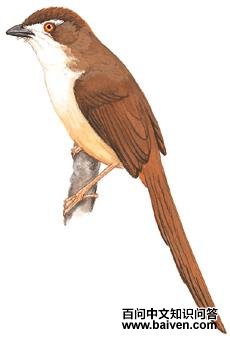 ������ȸ����̬����ͼ