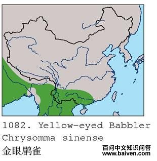 ������ȸ�������ֲ�ͼ