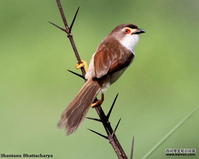 ������ȸ������ӡ�ȣ�6�£�