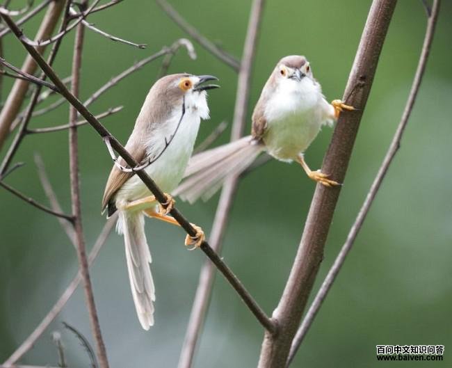 ������ȸ������˹��������10�£�