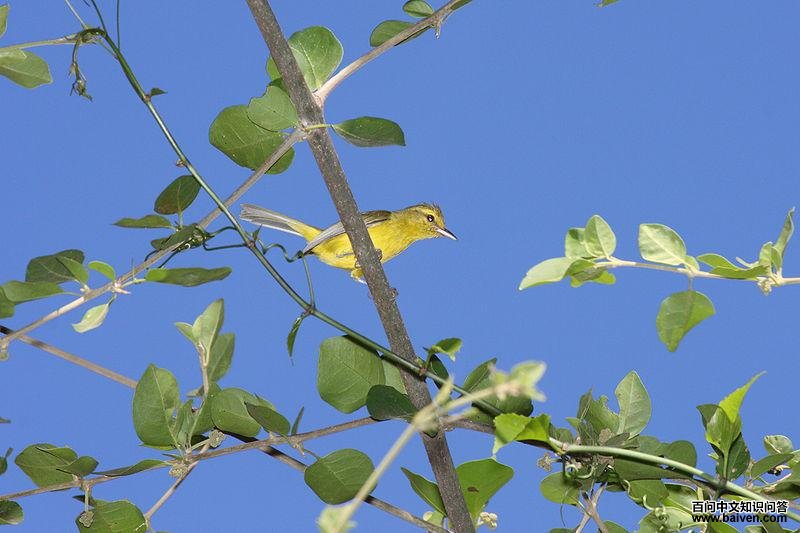 ��ݺȸ��ͼƬ