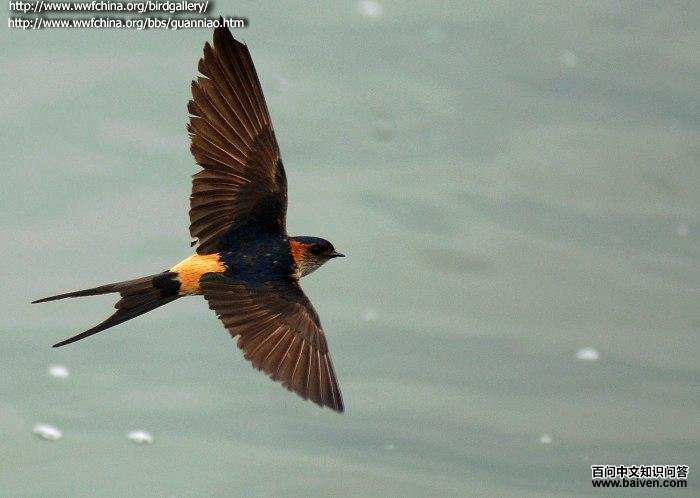 ���������ͼ