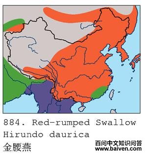 �����ࣺ�����ֲ�ͼ