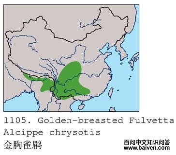 ����ȸ�̣������ֲ�ͼ