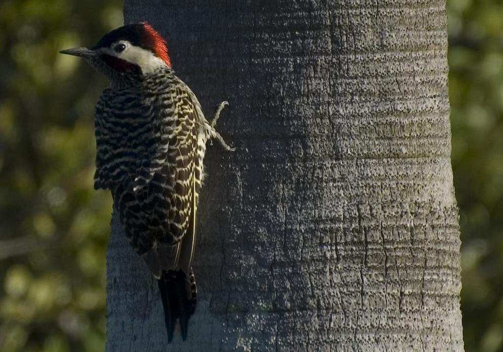 �����˳�����ͼƬ