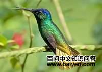 ��β����